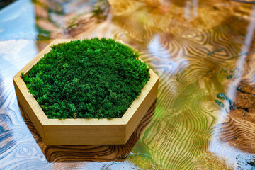 Stabilized moss in a hexagonal wooden box stands on an epoxy resin table. Eco-friendly interior...