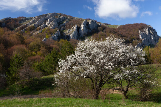 Spring at the mountains of Crimea (Yurkiny skaly)