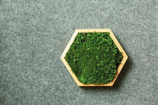 Stabilized moss in a hexagonal wooden box. Eco-friendly interior detail