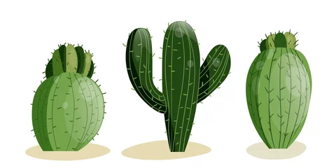 Raamstickers Cactus Hoge sappige cactus met doornen en stenen geïsoleerde elementen. Vectortekening instellen illustratie voor pictogram, spel, verpakking, banner. Wilde westen, western, cowboyconcept