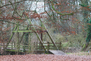 Un pont en bois dans le bois