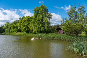 Obraz premium Czech highlands landscape with many forests, meadows, ponds and trees