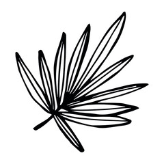 Simple tropical leaf illustration. Hand drawn vector clipart. Botanical doodle for print, web, design, decor, logo.