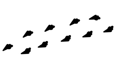 Footprint icons set. Human, shoeprints, dog, cat, tiger, lion, fox, wolf, bear, elephant, sheep, cow, horse, deer, kangaroo, lizard, hippo. Illustration EPS10