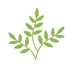 Plants with leaves Icon. Vector illustration
