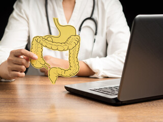 A doctor is holding a large intestine mockup while sitting in the hospital