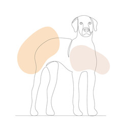 dog drawing by one continuous line, sketch, vector, isolated