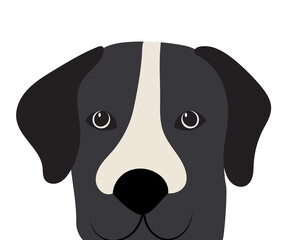 dog portrait in flat design isolated