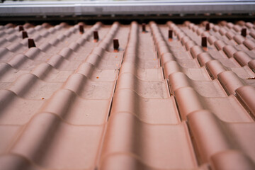 roof tiles on the roof