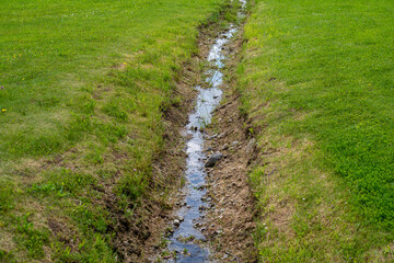 Drainage ditch in a meadow