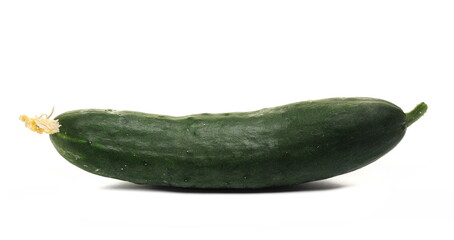Whole cucumber isolated on white background