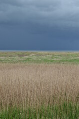 Obraz premium temps noir