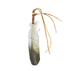 Watercolor eagle feather on white background.