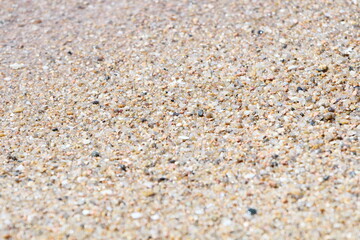 ビーチ｜濡れた砂浜