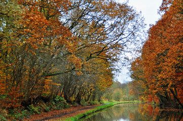 Beautifully evacuative Autumn colours by The canal near Wigan u.k.