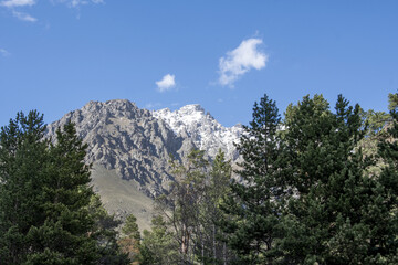 Fototapeta premium View of the mountain snow-capped peaks through the trees
