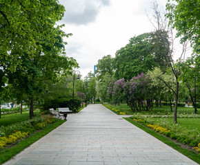 alley in the park