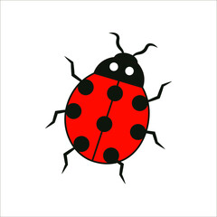 ladybug very cute insect vector illustration