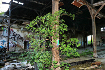 Lostplace