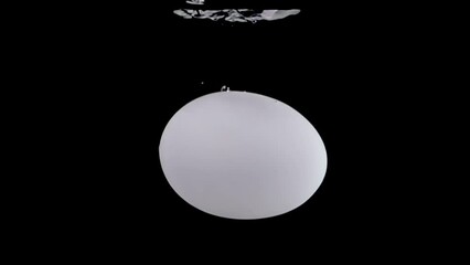 Super slow motion, one white egg falls into the water with air bubbles on a black background. Filmed on a high-speed cinema camera at 1000 fps. Stduio Shot, High quality Full HD footage. - Powered by Adobe