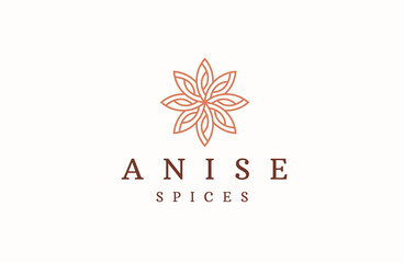 Star Anise logo icon design template flat vector