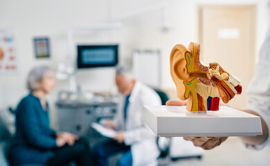 Anatomical model of human ear in doctor hands, close-up. Hearing treatment and diagnosis for senior patient with audiologist at hearing clinic over background, soft focus - 508434654