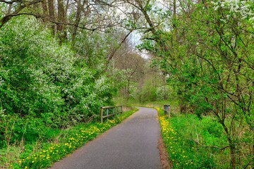 Wide path for running or walking and biking, beautiful green grass and trees