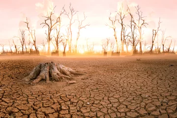 Wandcirkels aluminium The concept of global warming and drought and poverty and food shortages. Arid soils with hot climates have a globe that lacks green space. © Stock Photo For You