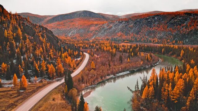 Chuya river in Altai mountains, Siberia, Russia. Aerial drone view. Blue river with yellow autumn trees in the mountains at sunset. Beautiful autumn landscape.
