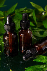 Bottle with herbal serum, oil cosmetic ad, simple and natural skincare concept