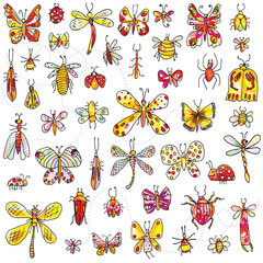 Vector set of different colorful insects on a white background