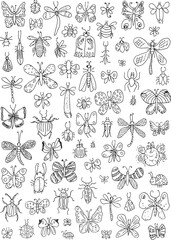 Vector outline group of different insects on a white background