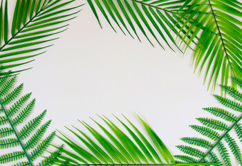 pink palm leaves background-1