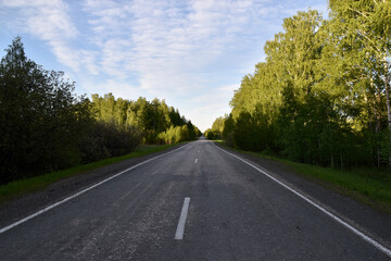 Fototapeta na wymiar Forest expressway during the day in summer