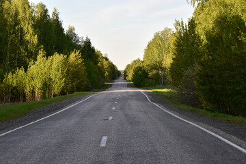 Forest expressway during the day in summer