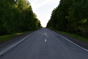Forest expressway during the day in summer