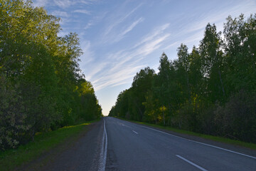 Forest expressway during the day in summer
