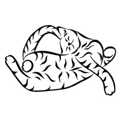 Funny lying cat. illustration of a relaxing stripes cat. Kitten linear drawing. Cat silhouette drawing by hand. Animal vector image.