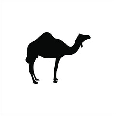 Camel Silhouette for Logo or Graphic Design Element. Vector Illustration