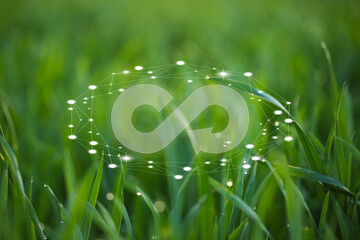 Circular economy concept. Green grass and illustration of infinity symbol