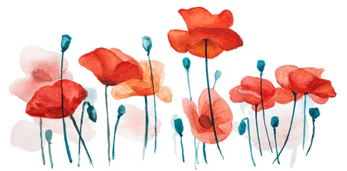Foto op Plexiglas Watercolor painting red poppy flowers. Creative floral illustration, summer nature background. © smallredgirl