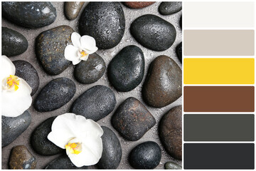 Color palette and spa stones with beautiful flowers on grey background, flat lay. Collage