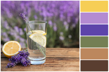 Color palette and lemonade with lemon slices and lavender flowers on wooden table outdoors. Collage