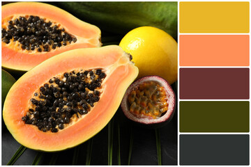 Color palette and fresh ripe papaya and other fruits on black table. Collage