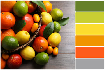 Color palette and different citrus fruits on wooden table, closeup view. Collage