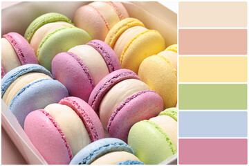 Color palette and many delicious macarons in box, closeup. Collage