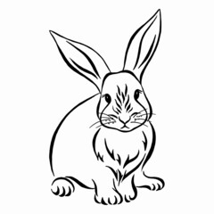 Fototapeta na wymiar cute bunny hand drawn vector illustration. Rabbit sits in front. Black and white. Linear drawing. Calligraphy image.