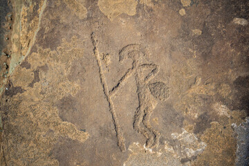 Drawn figures on the stone wall. Rock painting in mountain of Altai Republic, Russia