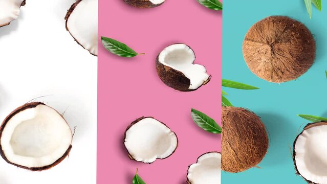 Whole and half fresh coconut set and slices animated on white,pink and aquamarine background , top view
