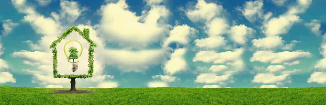 maison verte et ampoule dans une prairie, environnement